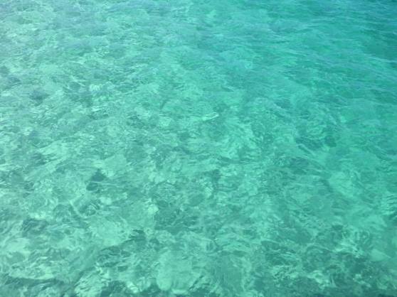 13307450_10209542174373939_2774143387548929232_n